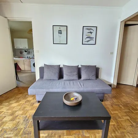 Apartment Vaste 10 Min Orly 20 Min Paris By Rer B Massy (Essonne)