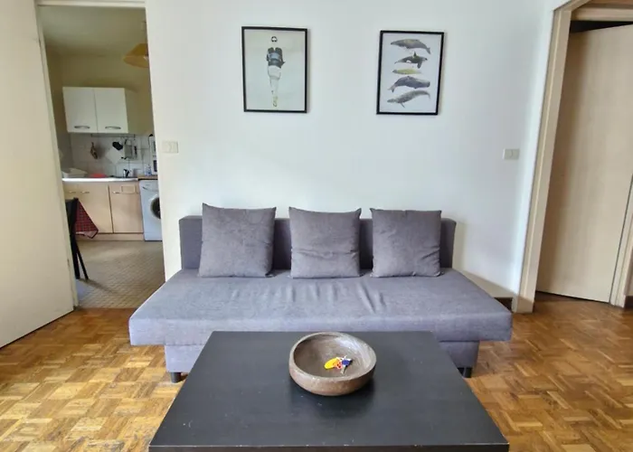 Apartment Vaste 10 Min Orly 20 Min Paris By Rer B Massy (Essonne)