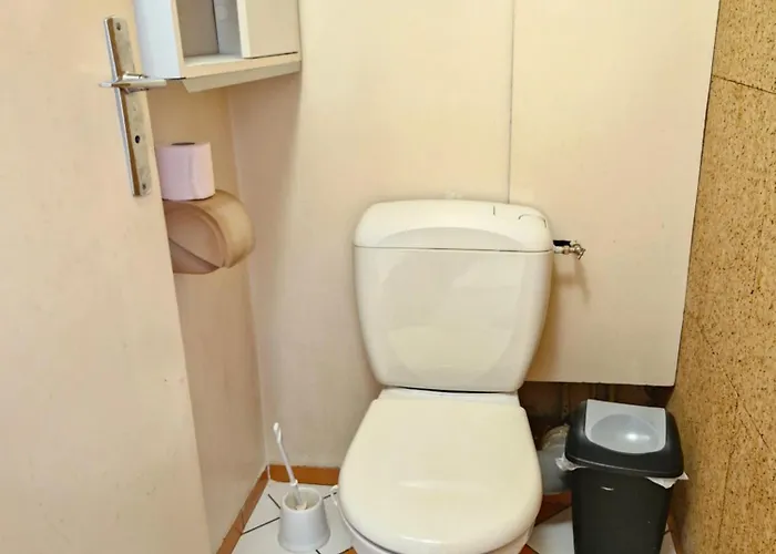 Vaste 10 Min Orly 20 Min Paris By Rer B Massy (Essonne)